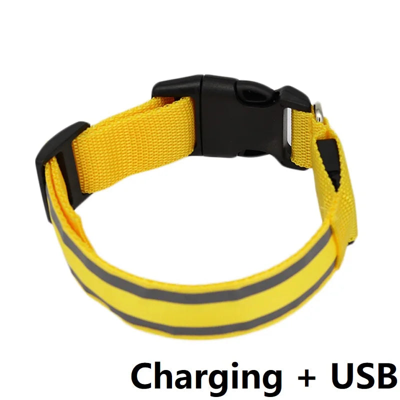 Illuminate Your Pet's Night with the New Glowing LED Dog Collar - Safety and Style Combined!
