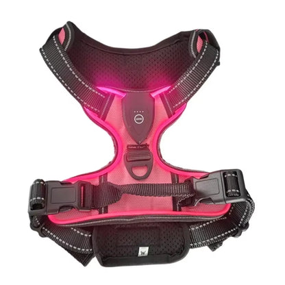 Illuminate Your Dog's Adventures with the LED Luminous No Pull Adjustable Pet Vest Harness - Perfect for Small to Large Dogs!