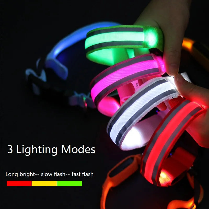 Illuminate Your Pet's Night with the New Glowing LED Dog Collar - Safety and Style Combined!