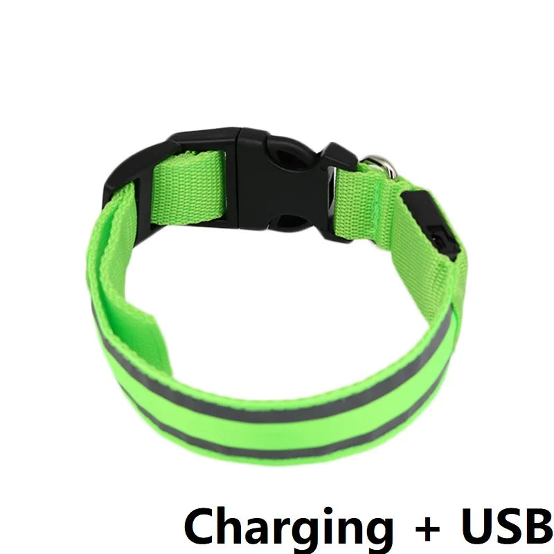 Illuminate Your Pet's Night with the New Glowing LED Dog Collar - Safety and Style Combined!