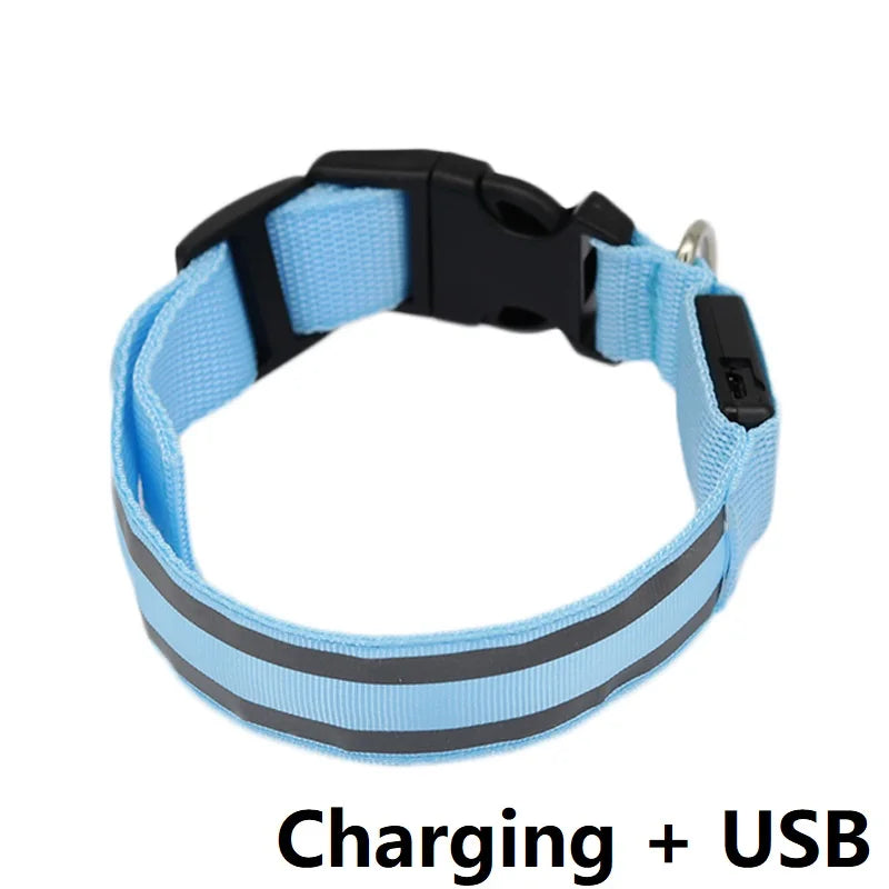 Illuminate Your Pet's Night with the New Glowing LED Dog Collar - Safety and Style Combined!