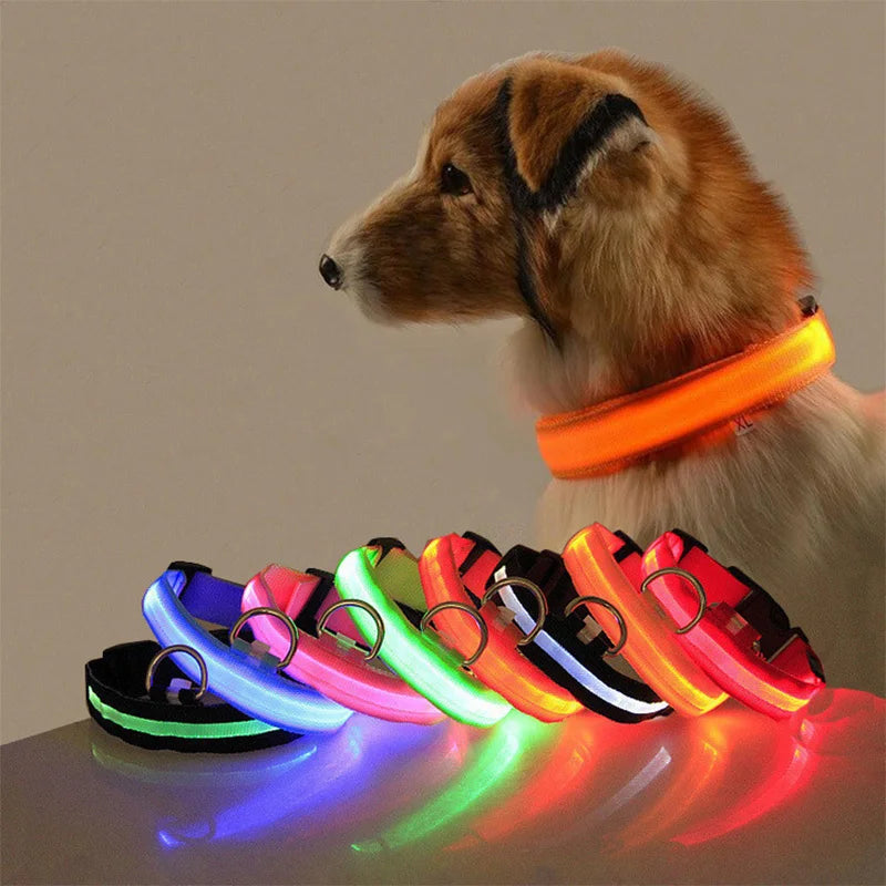 Illuminate Your Pet's Night with the New Glowing LED Dog Collar - Safety and Style Combined!