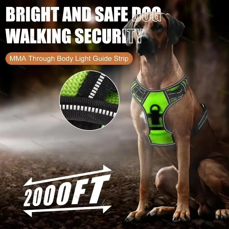 Illuminate Your Dog's Adventures with the LED Luminous No Pull Adjustable Pet Vest Harness - Perfect for Small to Large Dogs!