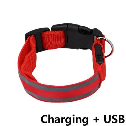 Illuminate Your Pet's Night with the New Glowing LED Dog Collar - Safety and Style Combined!