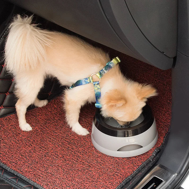 Small dog drinking from the no-spill water bowl on the floor of a car boot