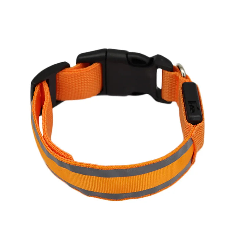 Illuminate Your Pet's Night with the New Glowing LED Dog Collar - Safety and Style Combined!