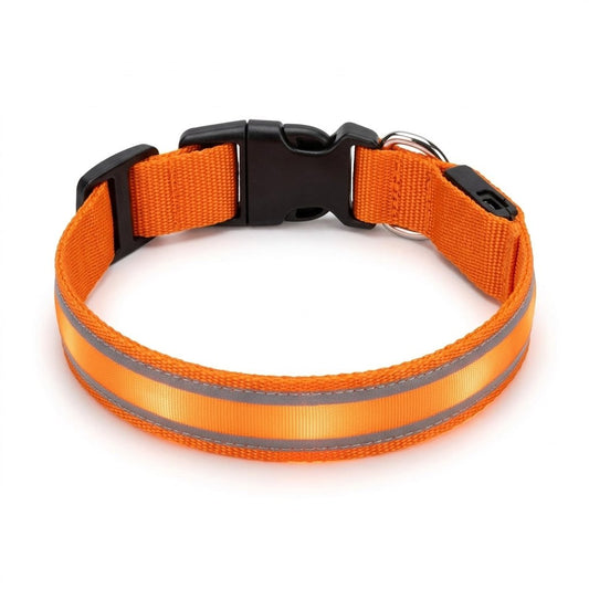 GlowBrite LED dog collar in orange on a white background