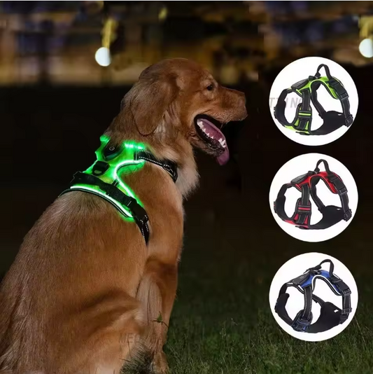 Zoomie LED Dog Harness